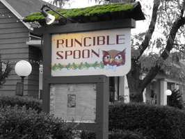 2009 10-Bloomington Indiana